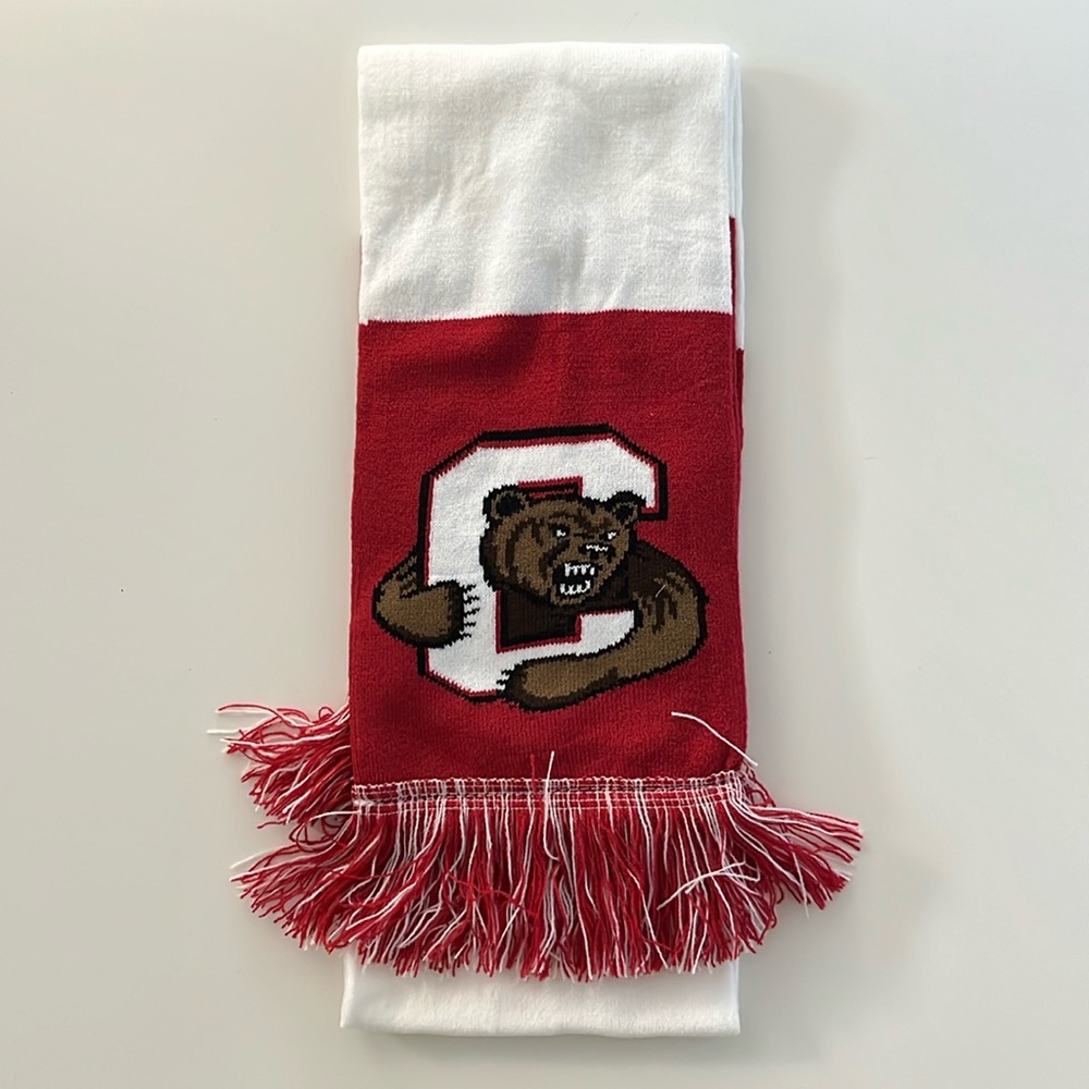 Cornell University scarf